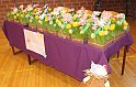 180325_XIII-Pisanica_Vrtic_1